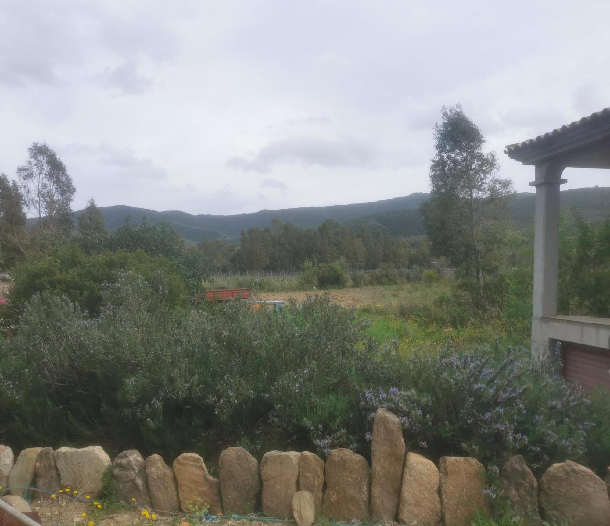 Vila Localita Zarvenu Siniscola Exteriér fotografie