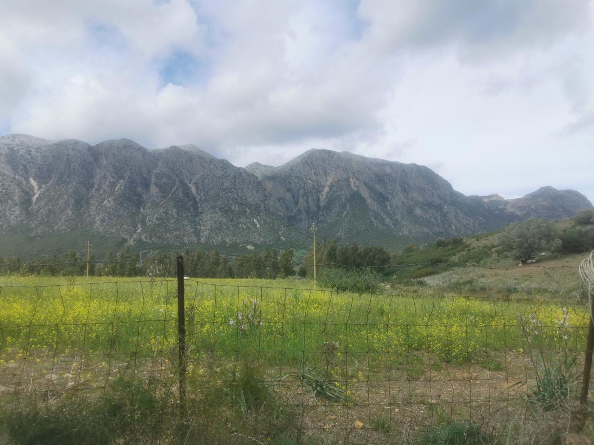 Vila Localita Zarvenu Siniscola Exteriér fotografie